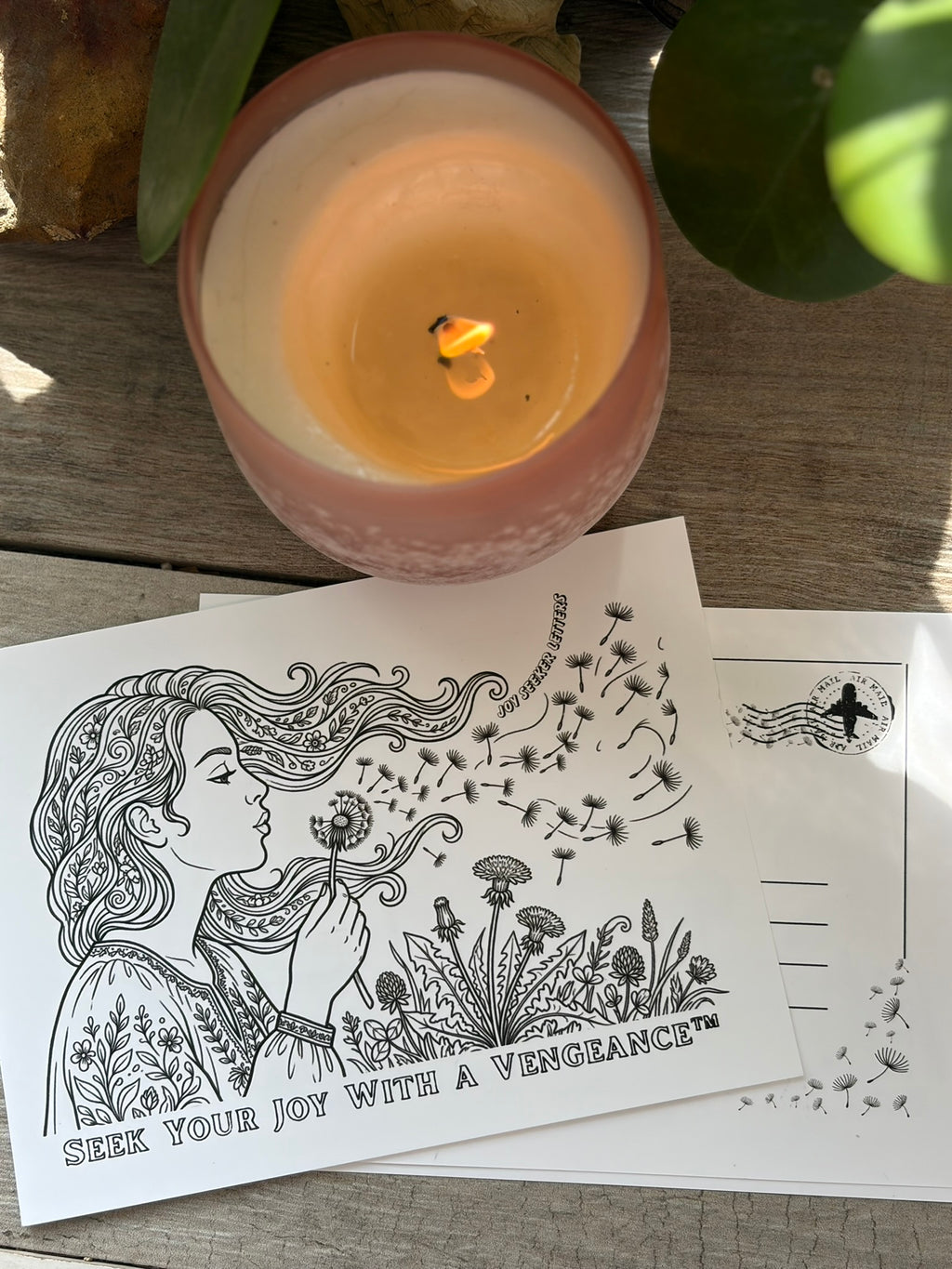 Joy Seeker Letters — One-time Gift