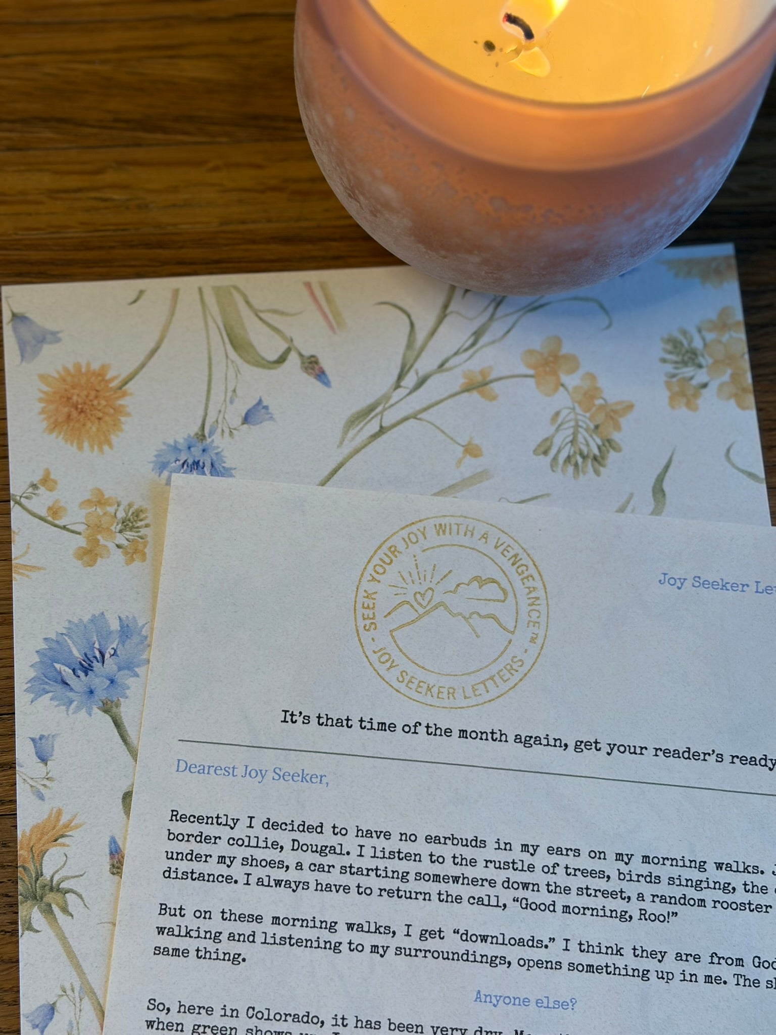 Joy Seeker Letters — July 2026 Issue